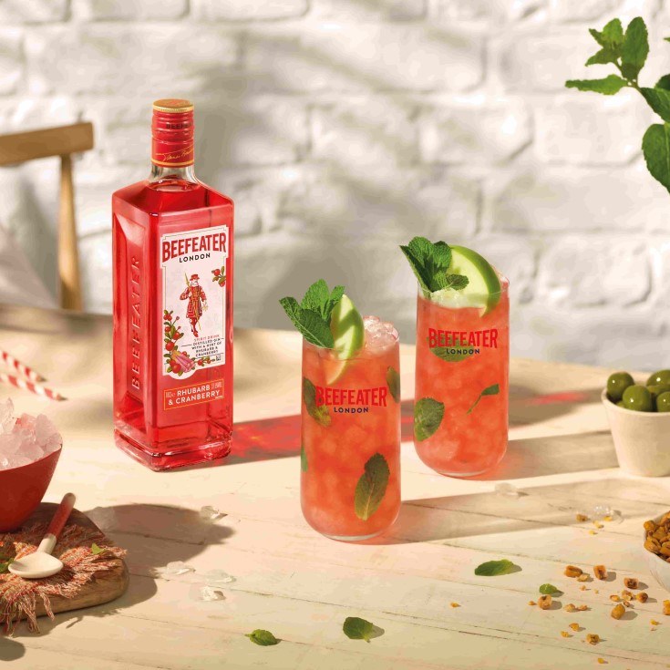 Rhubarb Cranberry Gin Mojito cocktail recipe - Beefeater Gin