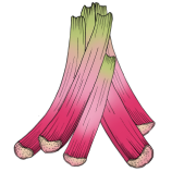 rhubarb