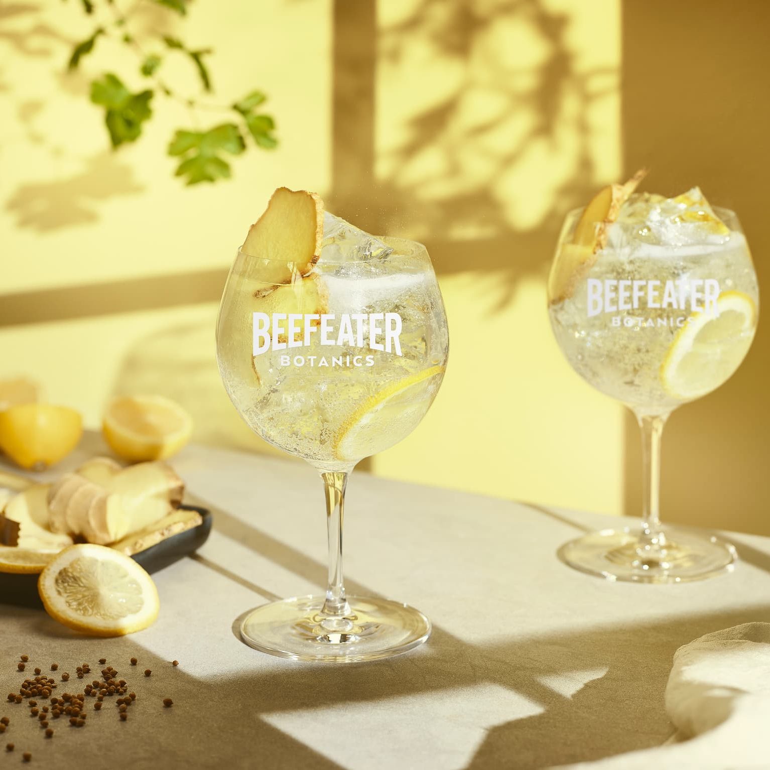 beefeater gin botanics and tonic cocktail aspect ratio 735 735